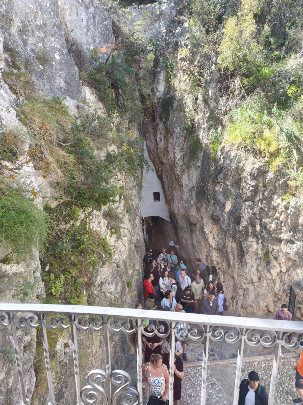 Vstupní tunel