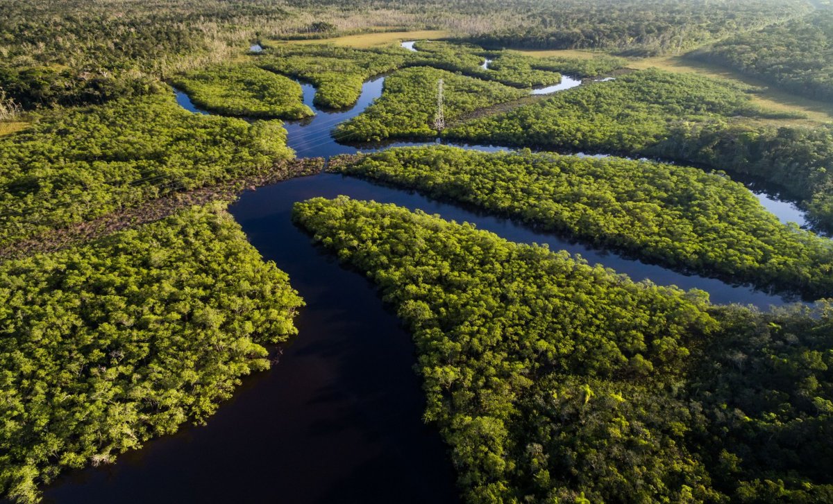 Pohled na Amazonii