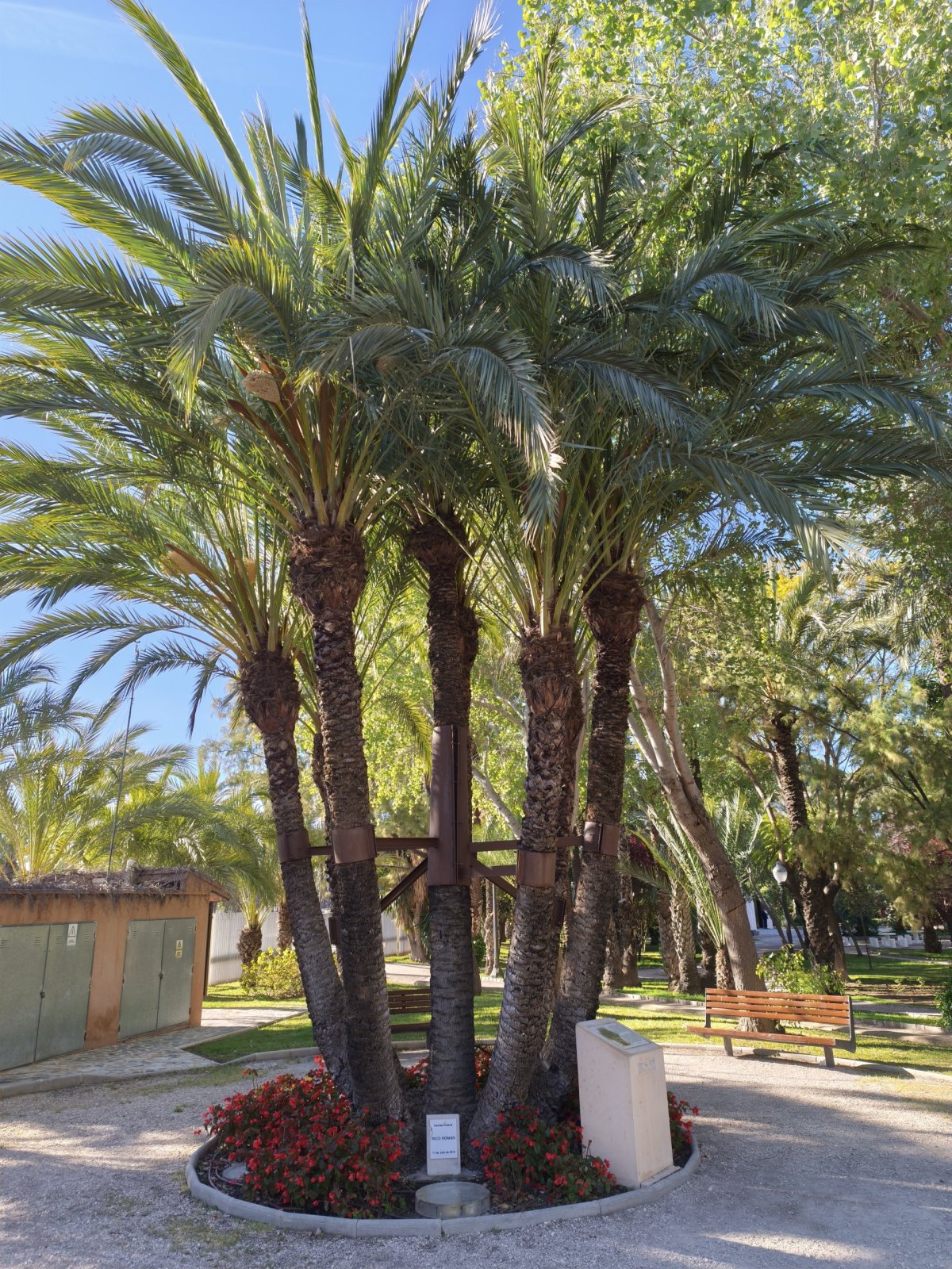 Parque Municipal