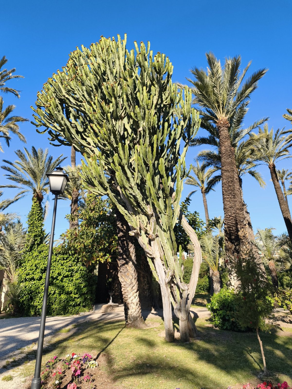 Parque Municipal