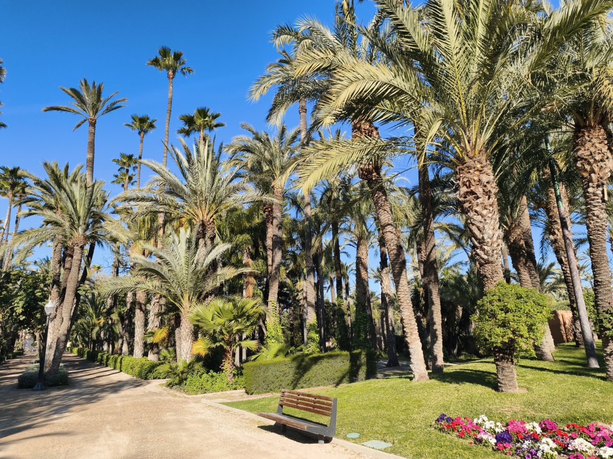 Parque Municipal