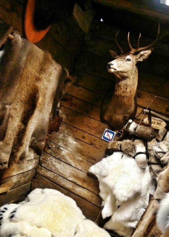 ...toho zákazu focení jsem si všimla pozdě :D