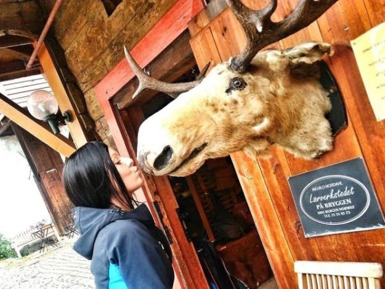 ... Norwegian Love...