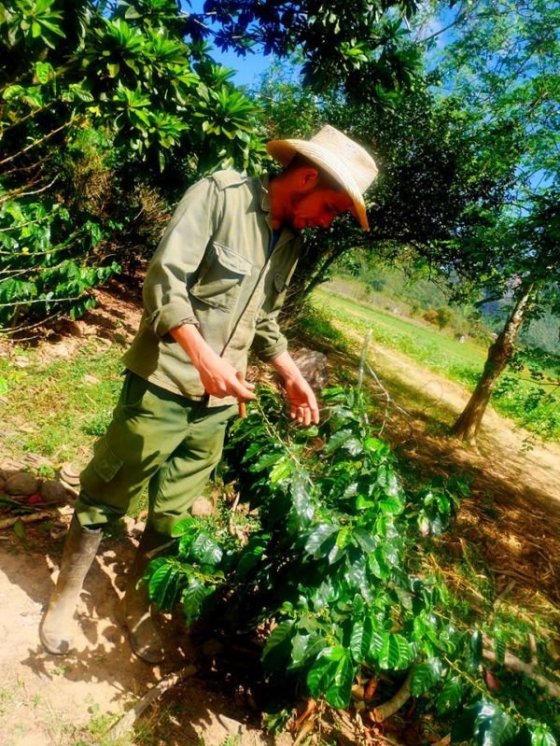 Tabákové plantáže, Vinales