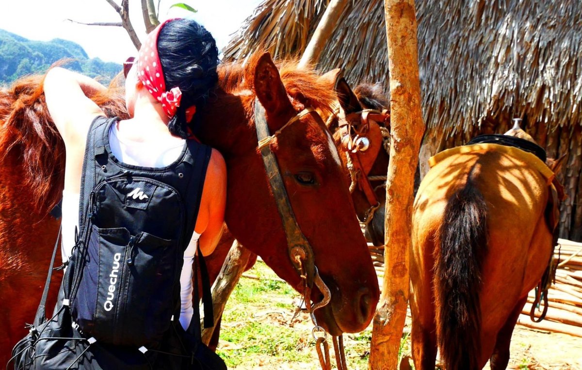 Tabákové plantáže, Vinales