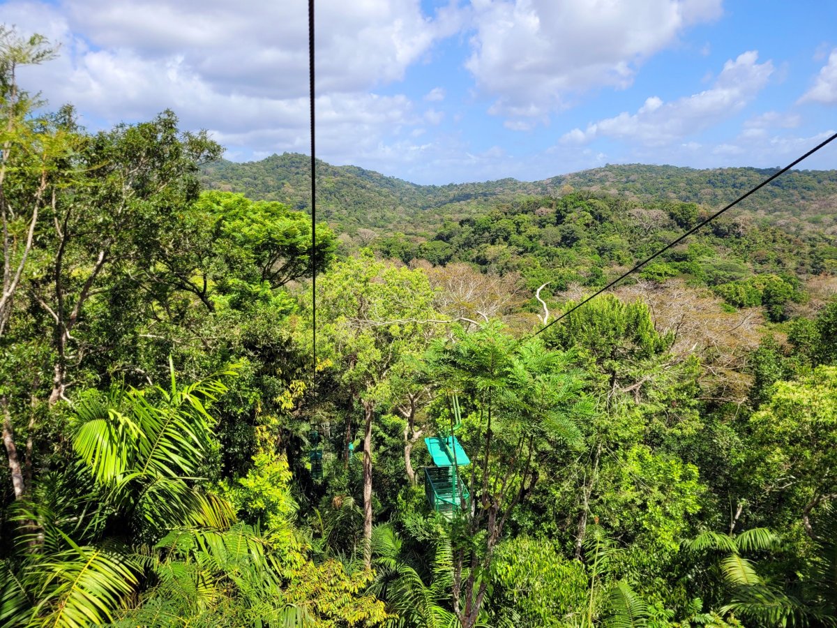 Lanovkou v Gamboa Rainforest Reserve