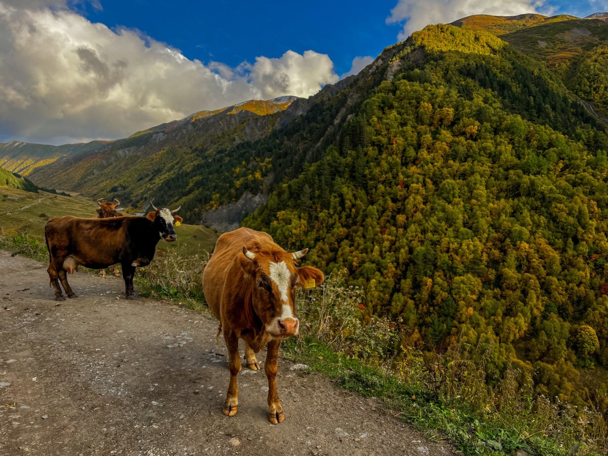 na večer se nám udělalo hezké počasí