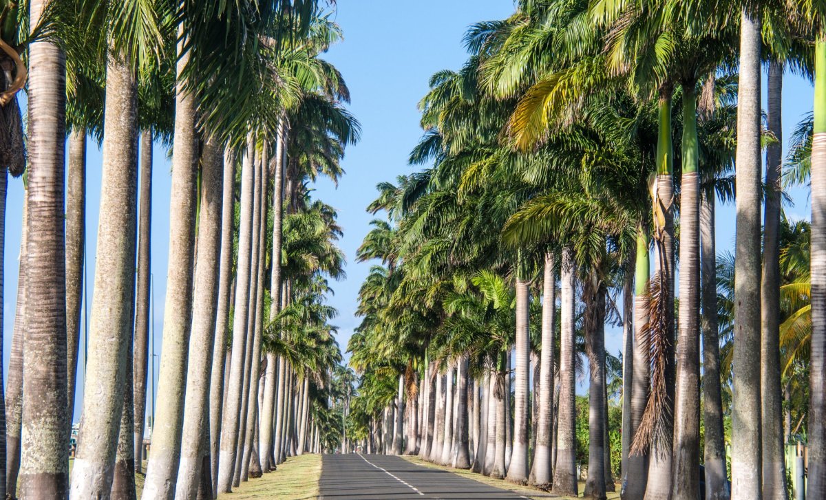 Silnice Guadeloupe