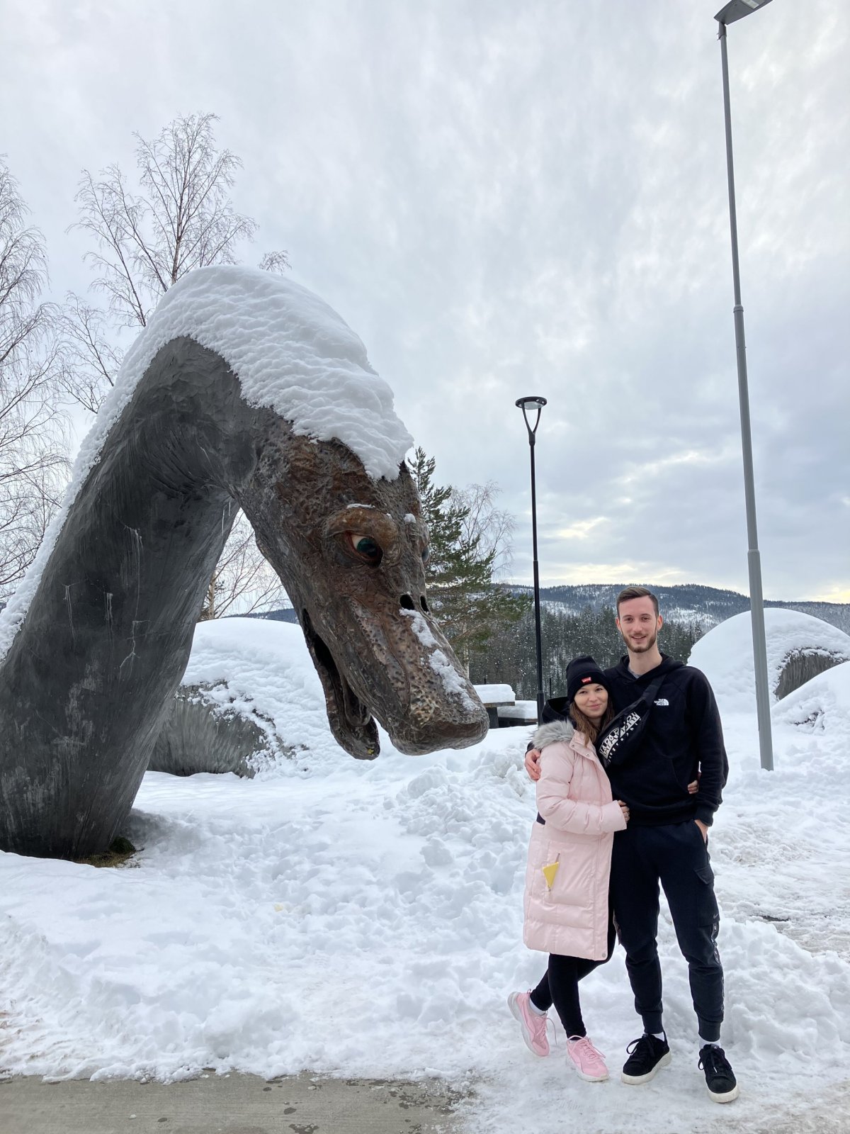 Cesta do Roldalu a naše nová kamojda na cestě 🚗