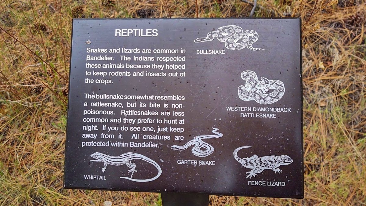 Plazi v národním parku