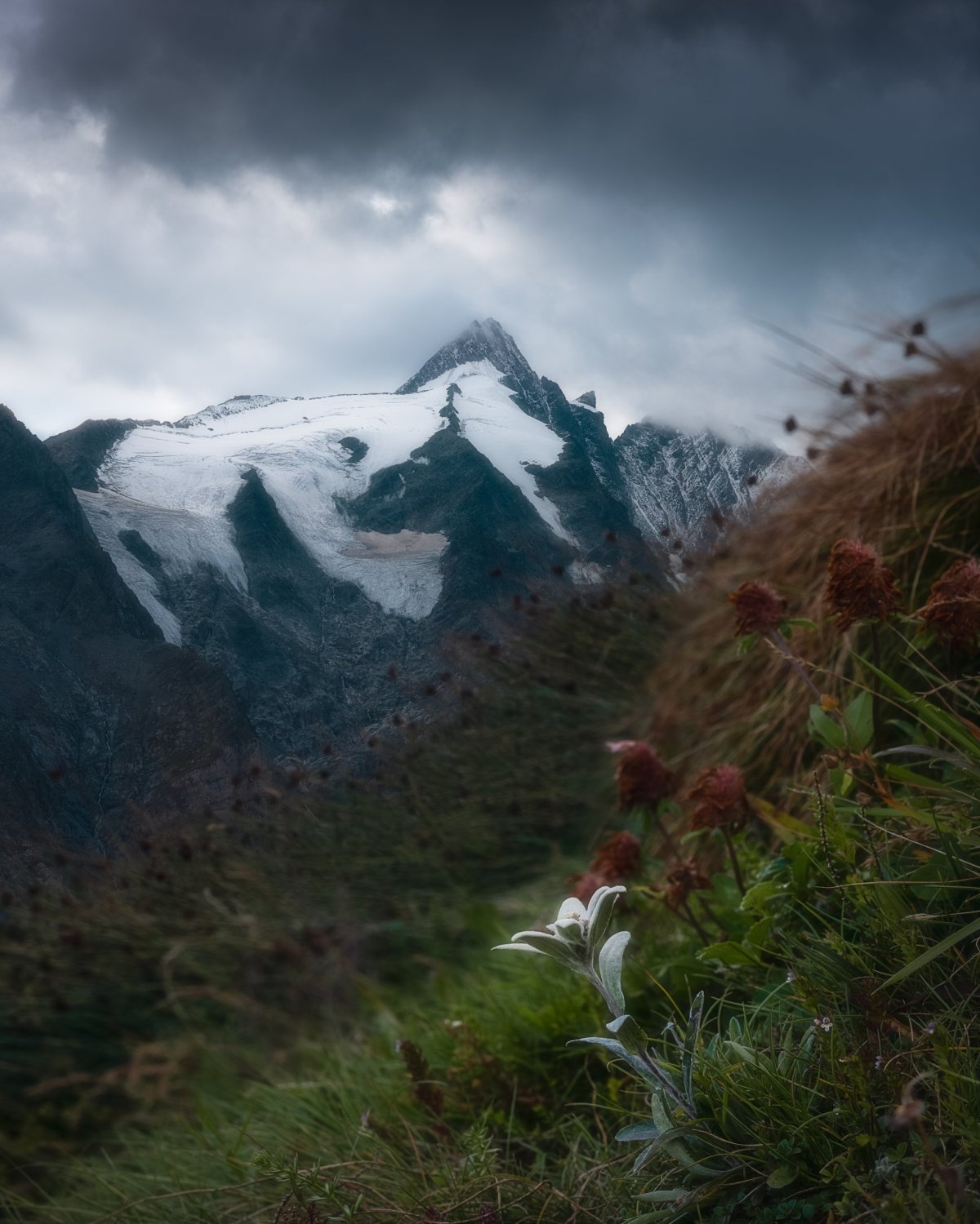 Grossglockner & květina Edelweiß 