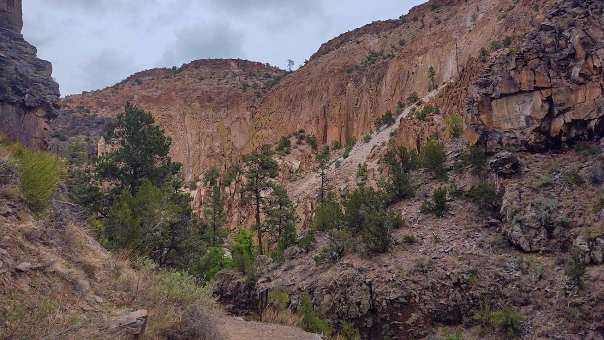 Stačí krok mimo cestu...