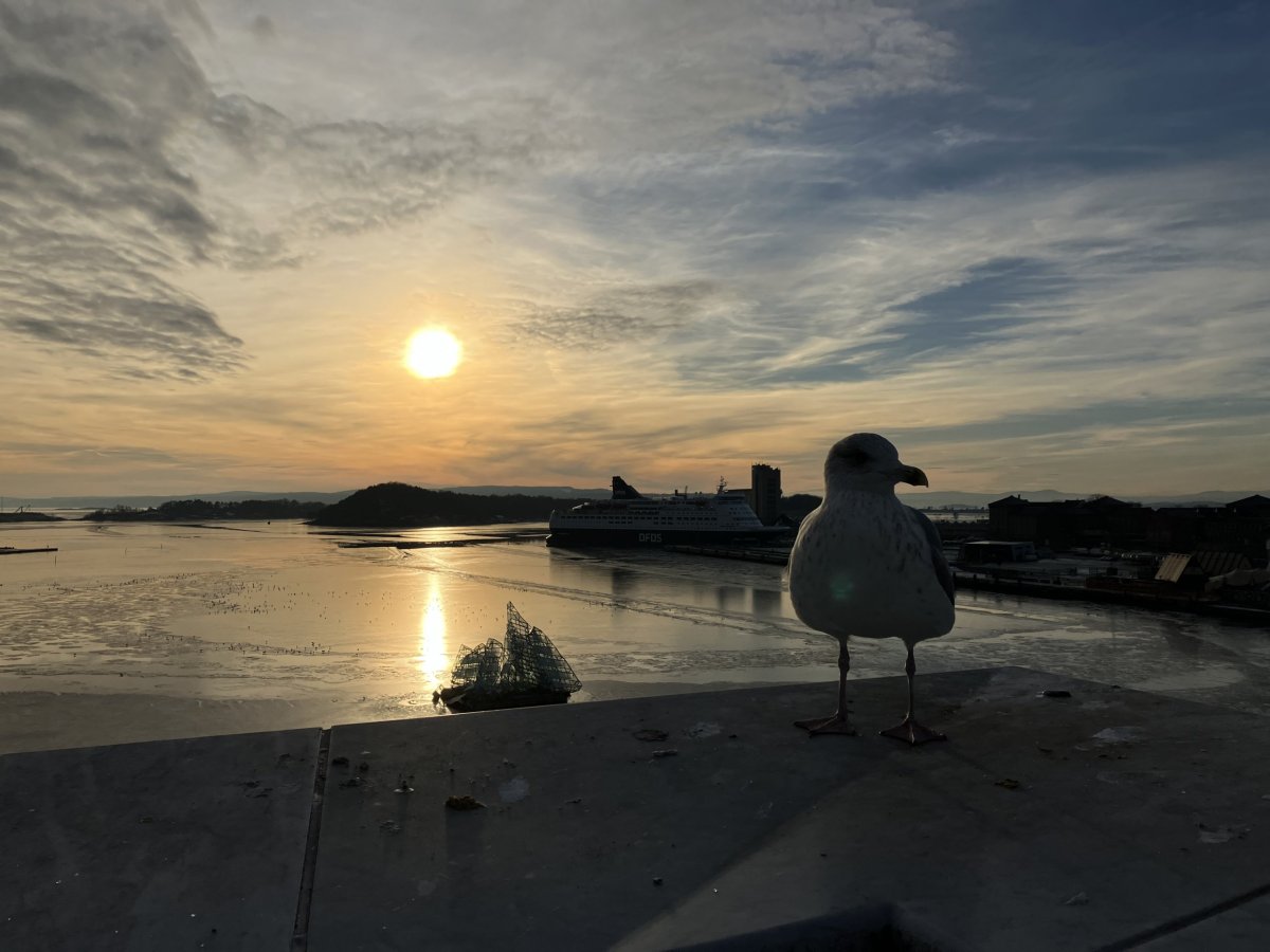 A tady už máme Oslo.. 