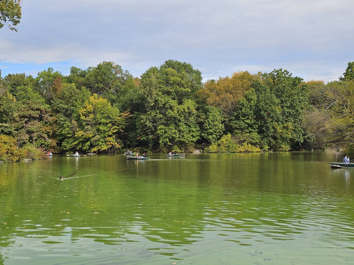 Jezero v Central Parku