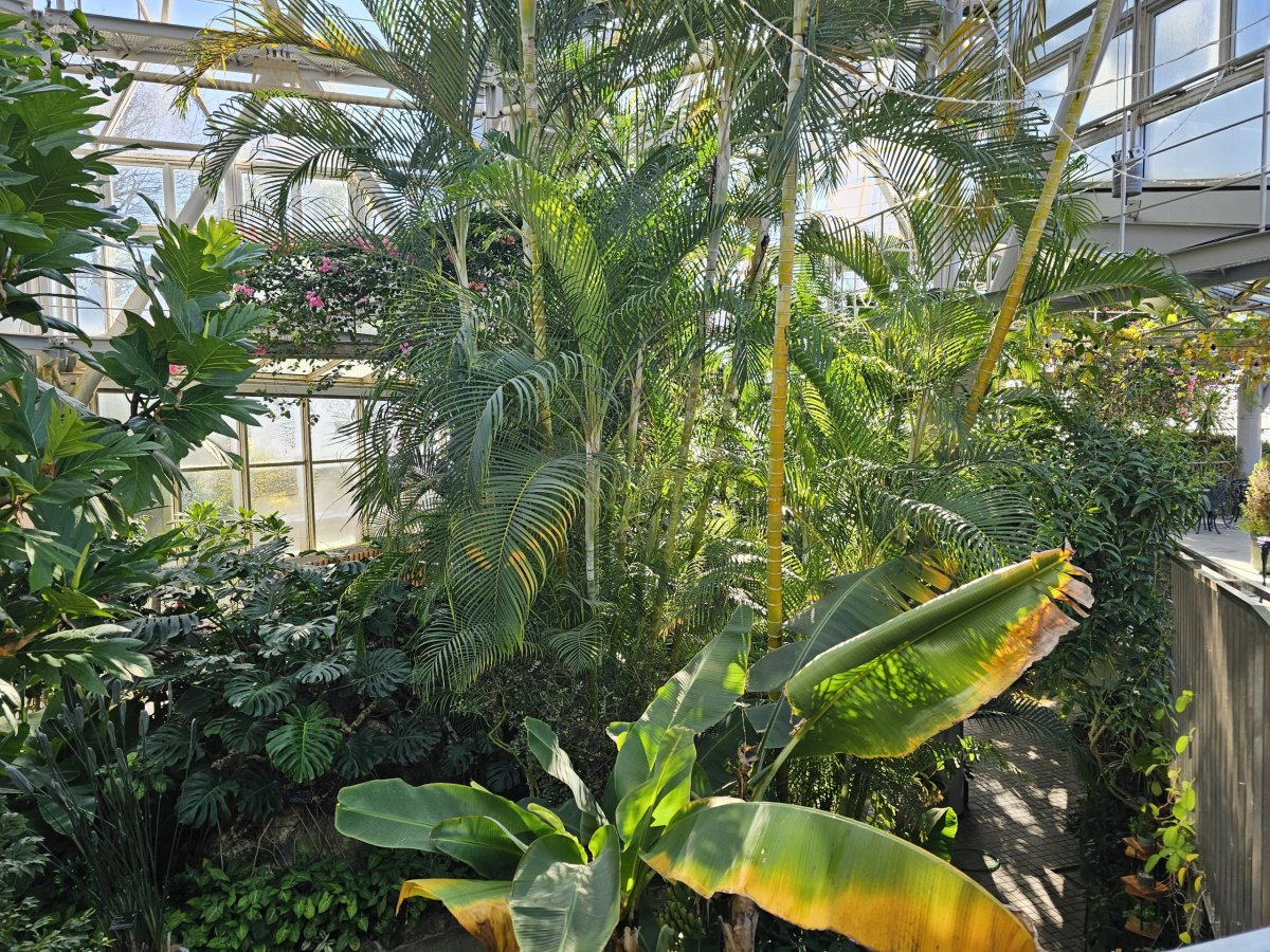 Skleník v Nunobiki Herb Gardens