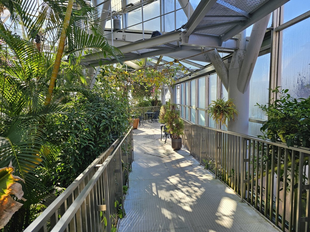 Skleník v Nunobiki Herb Gardens