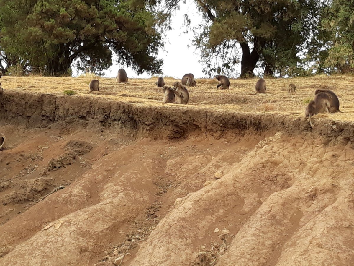 Hlavička uživatele