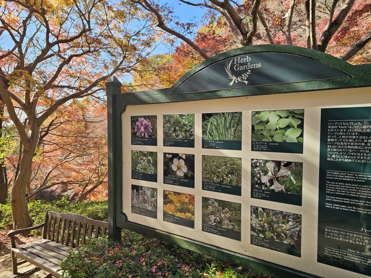 Nunobiki Herb Gardens