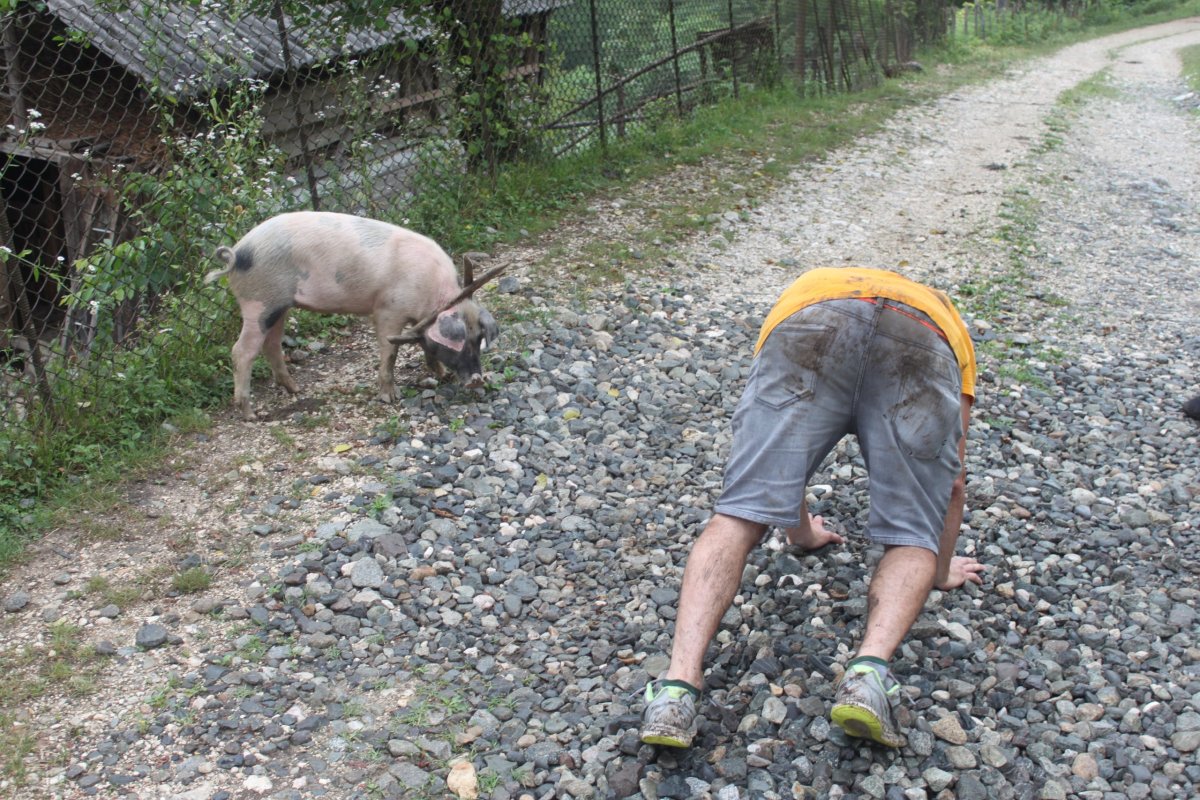 následky po přílišné konzumaci čači