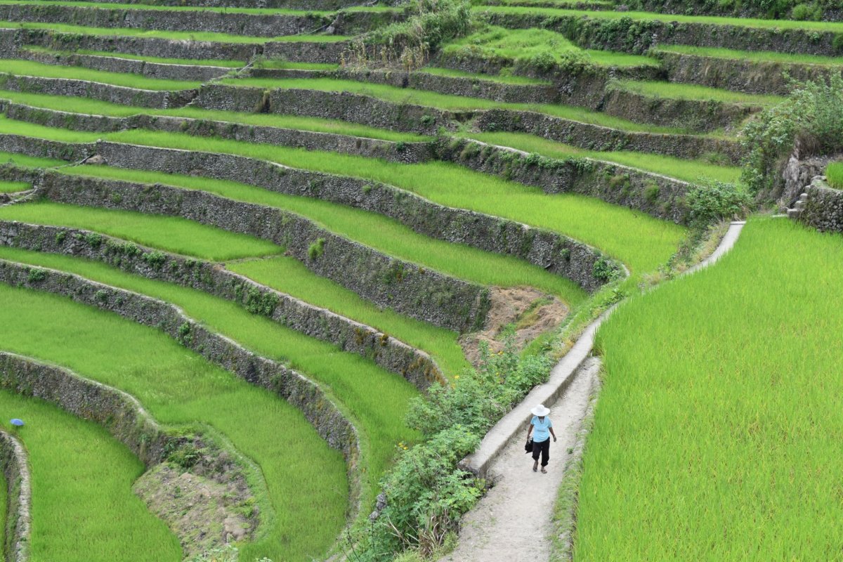 Hlavička uživatele