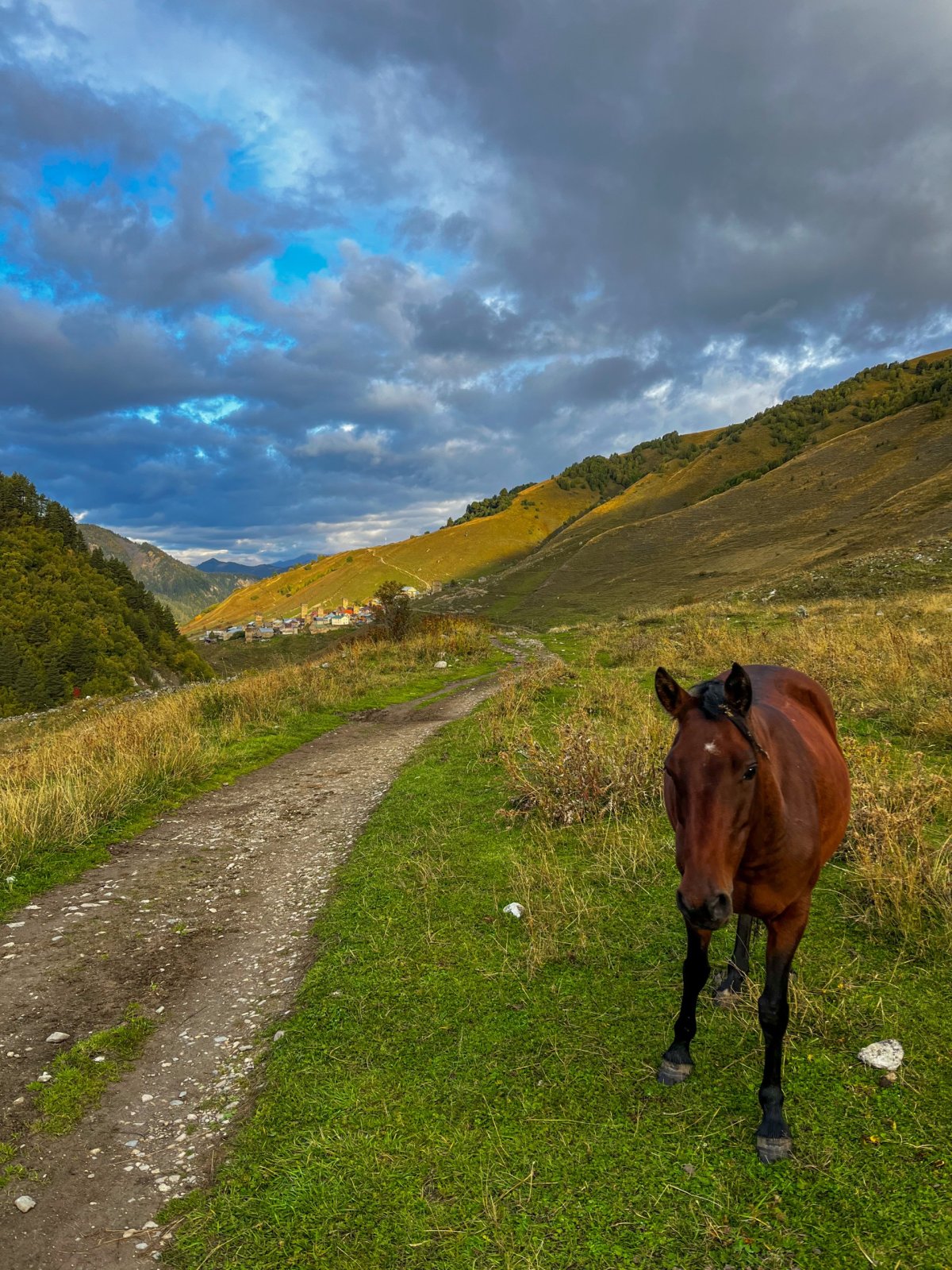 začátek cesty vedl po rovince (v pozadí Adishi)