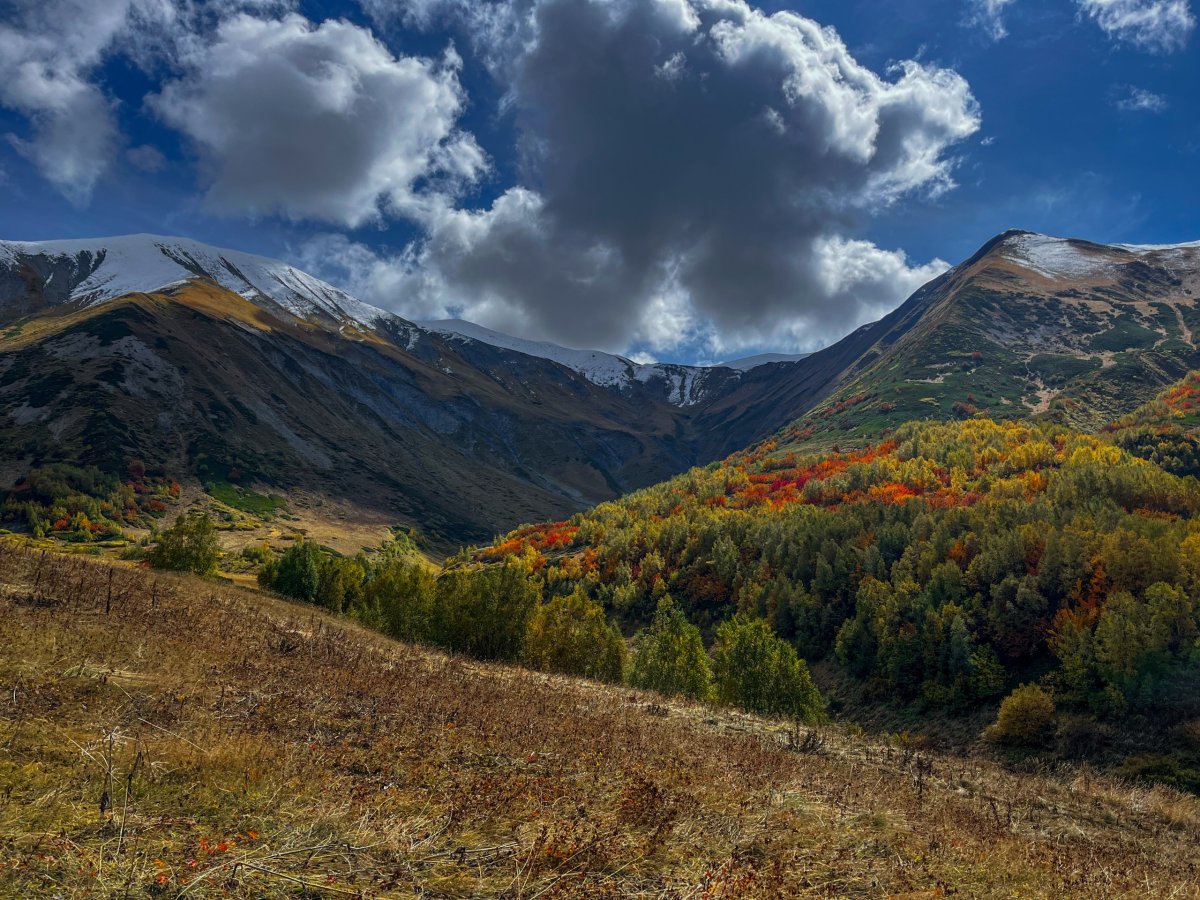 cestou se nám ukazovaly stále nová panoramata