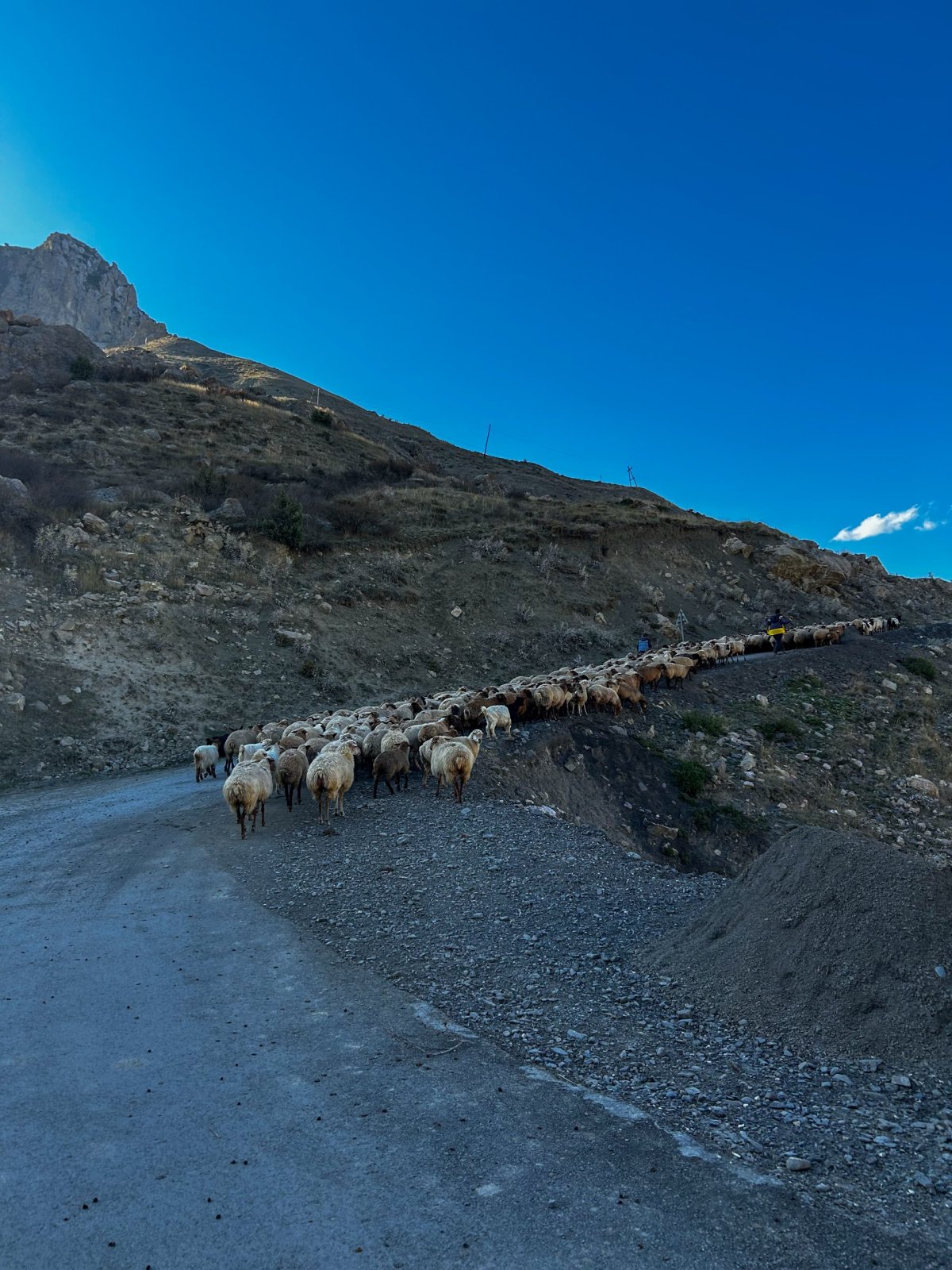 jedna z mnoha překážek..
