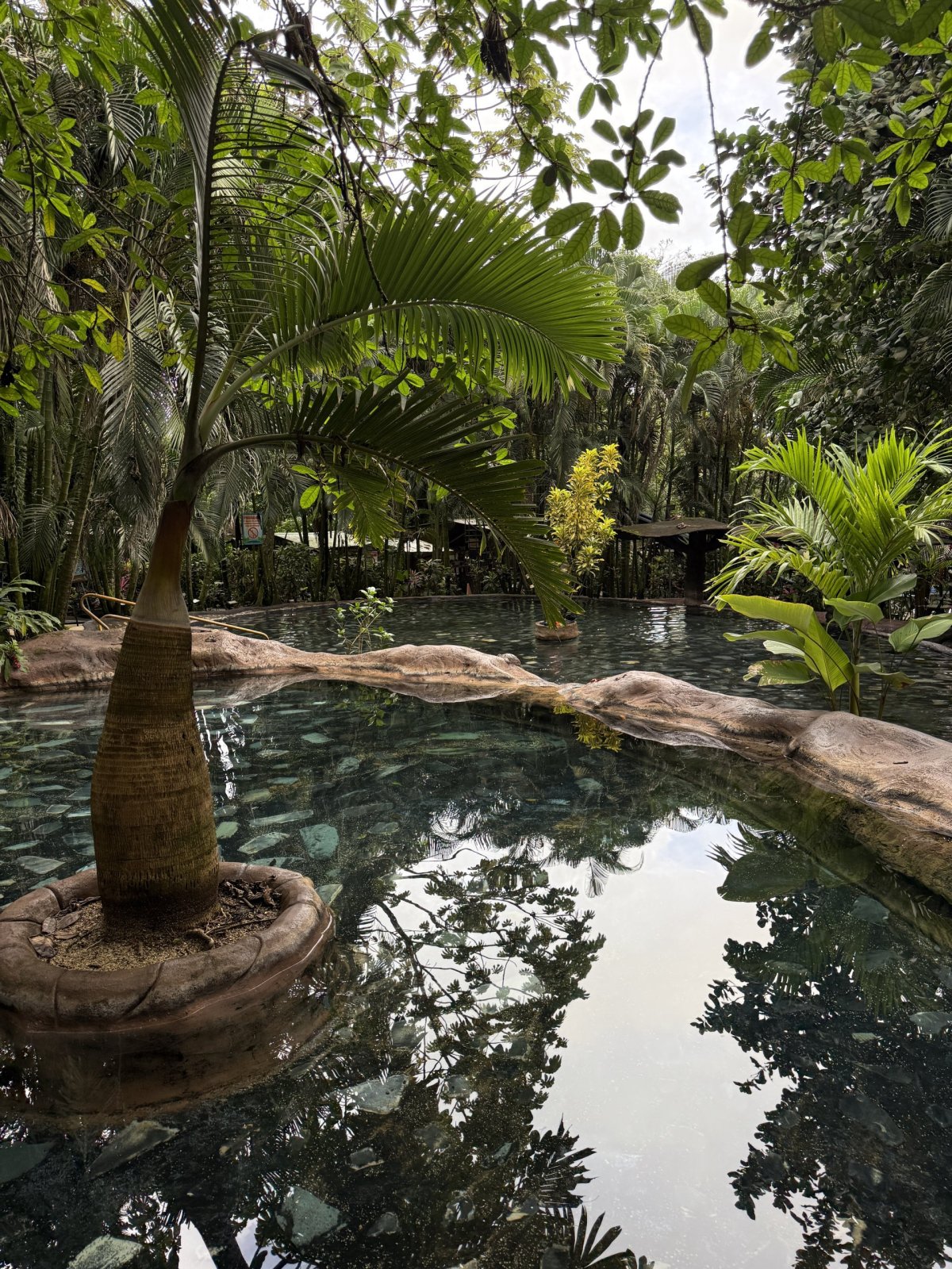 Termalitas del Arenal