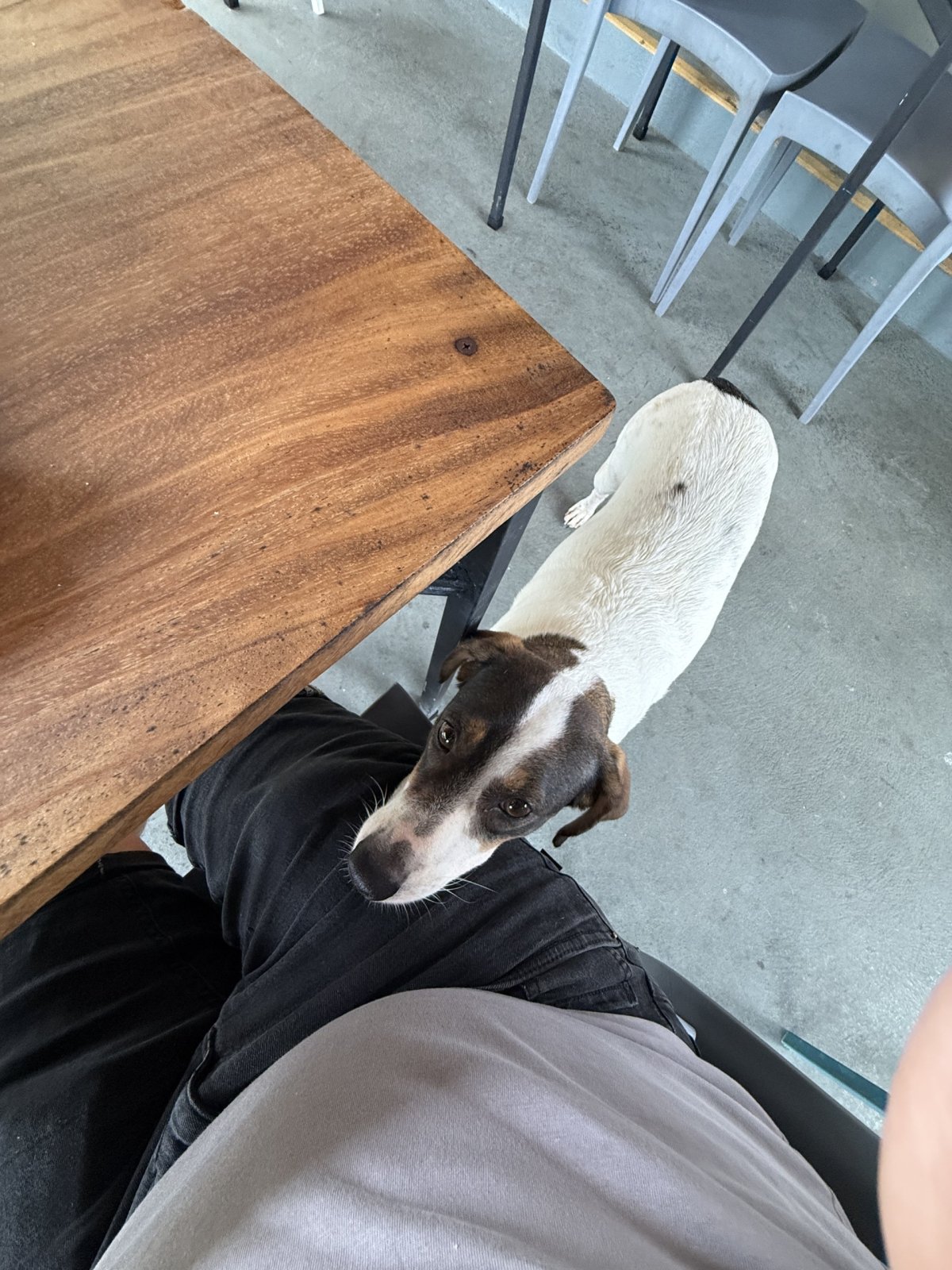 Tak po tomto něco dostat musela :D