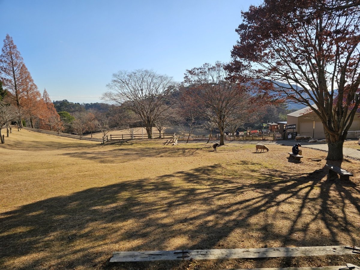 Rokkosan Pasture