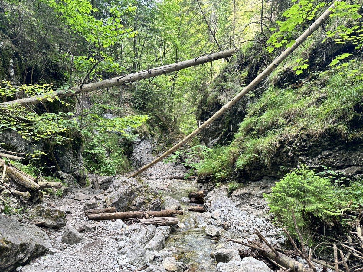 Roklina Suchá Belá