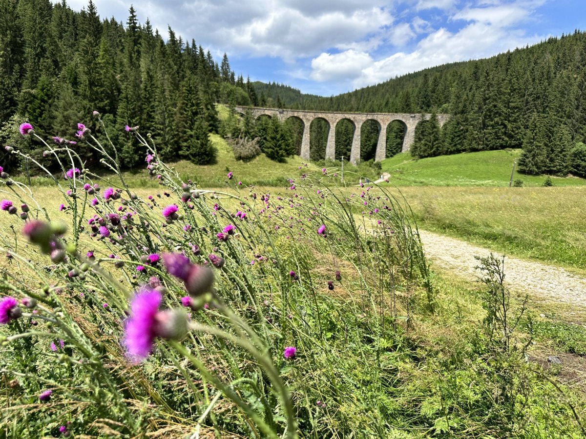 Chmarošský viadukt