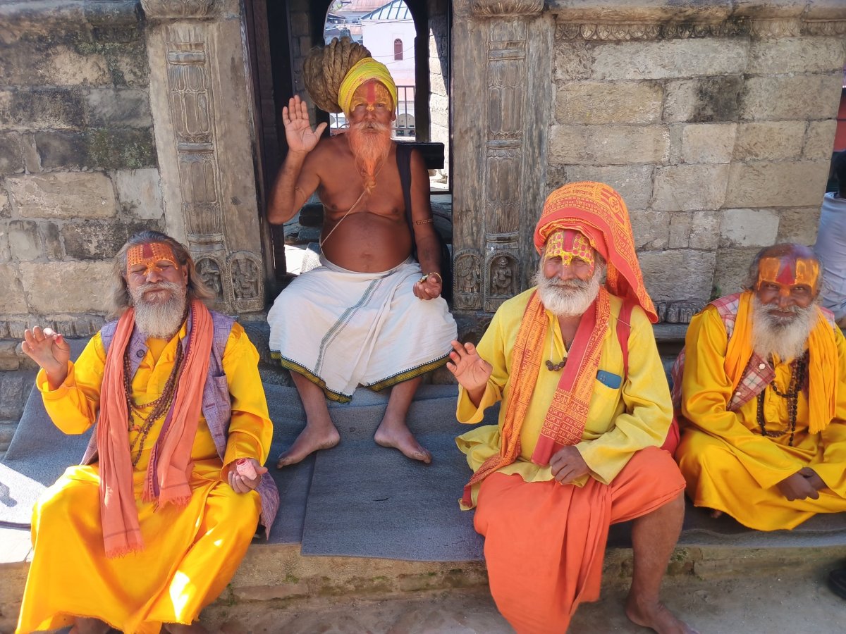 Sádhu – hinduističtí asketové