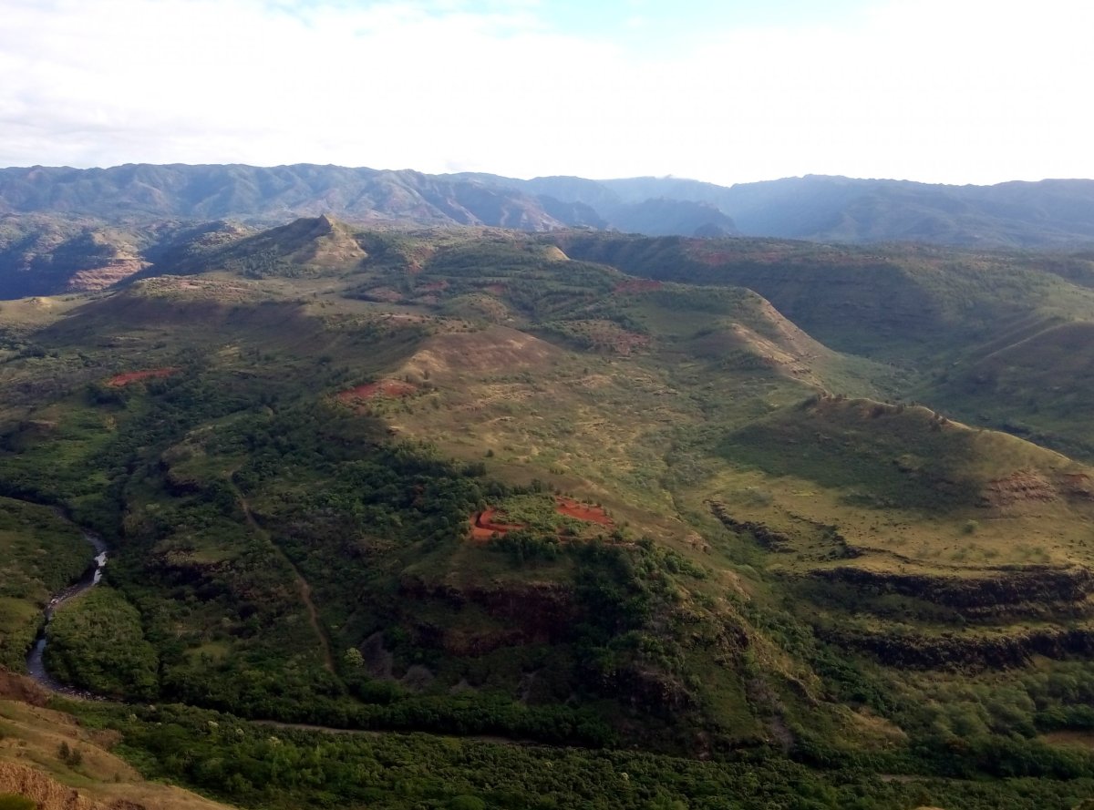 Waimea Canyon