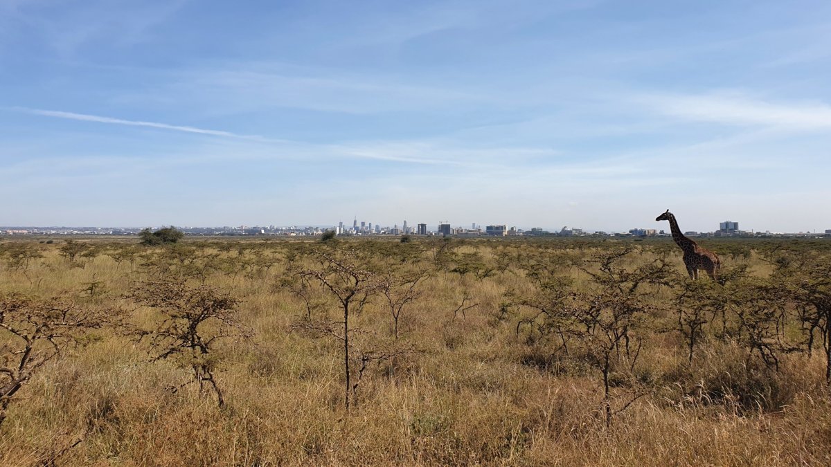 Národní park u Nairobi nabízí zajímavé pohledy