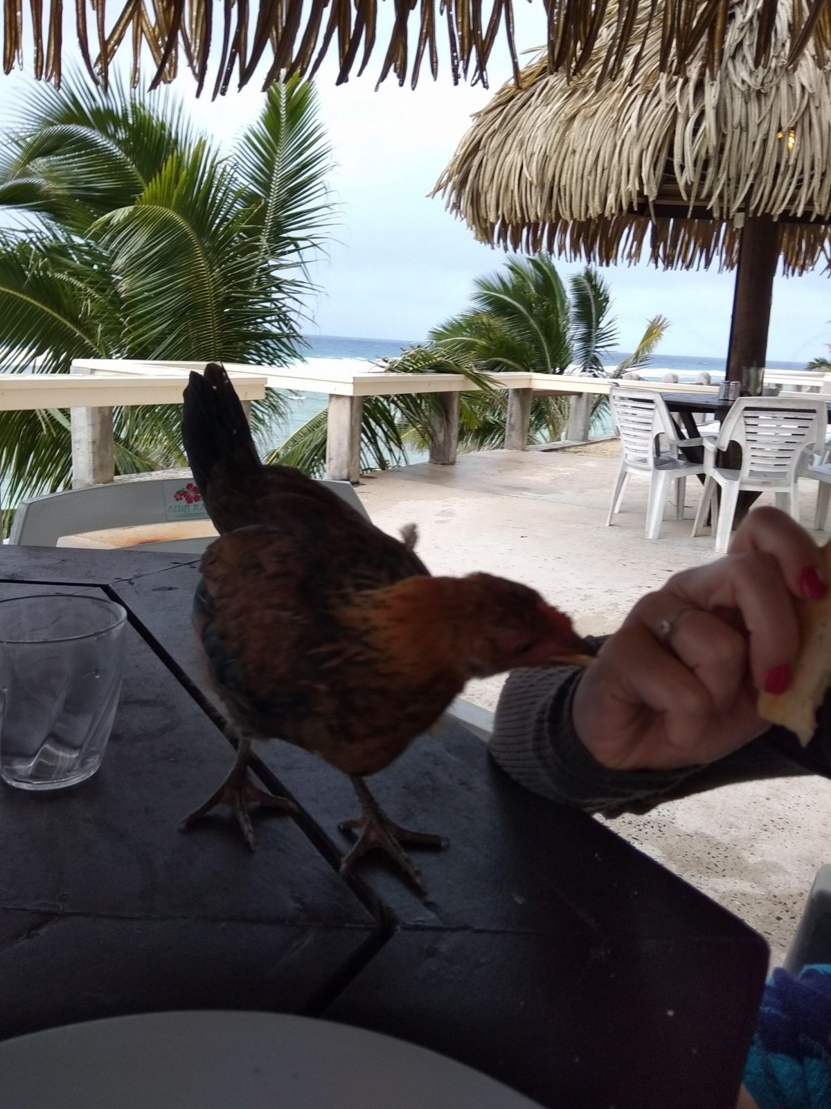 Nebojí se určitě nikoho :)