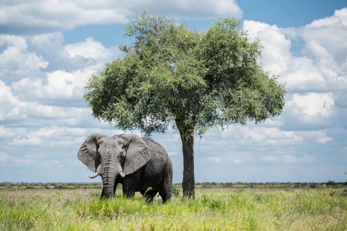 Hlavička uživatele