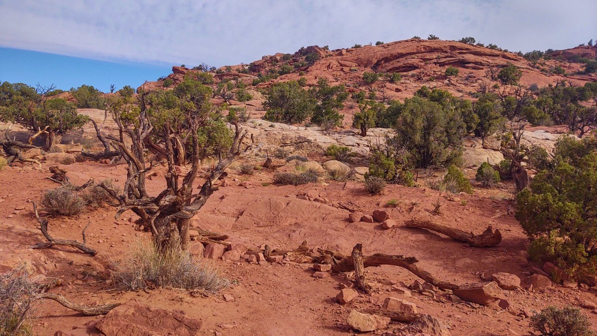 Výchozí bod Upheaval Dome Trail