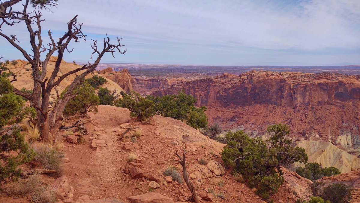 Upheaval Dome Trail