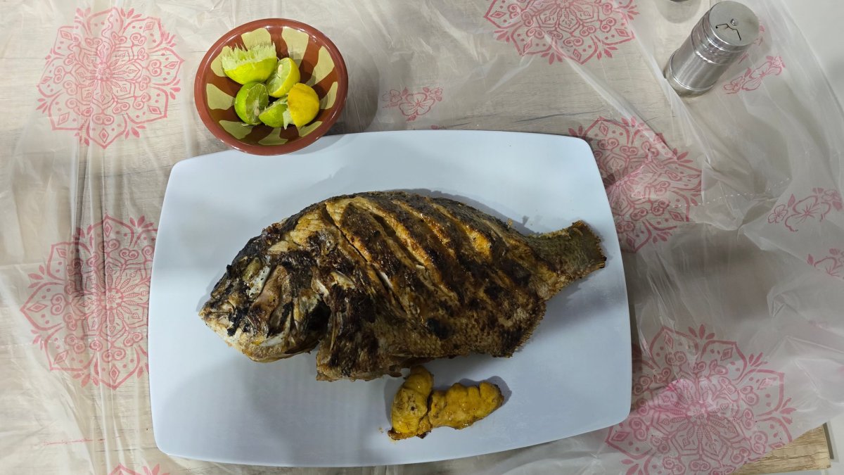"Macko" (300 EGP/kg)