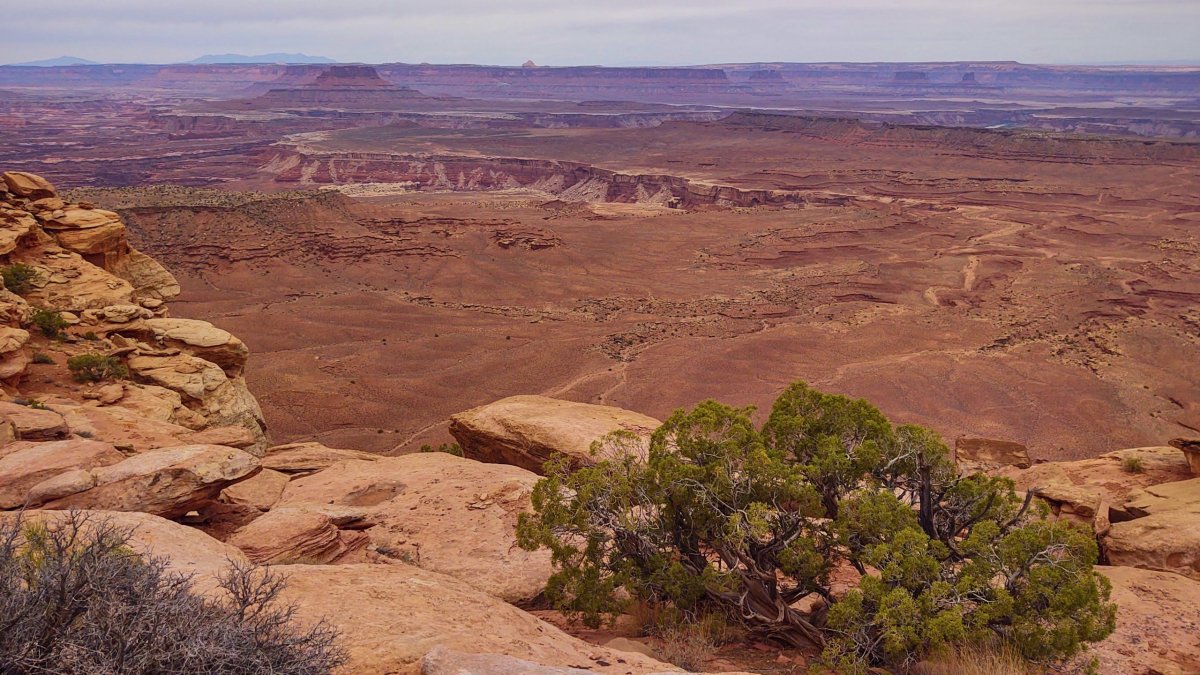 Pohled z Grand View Point Trail západním směrem