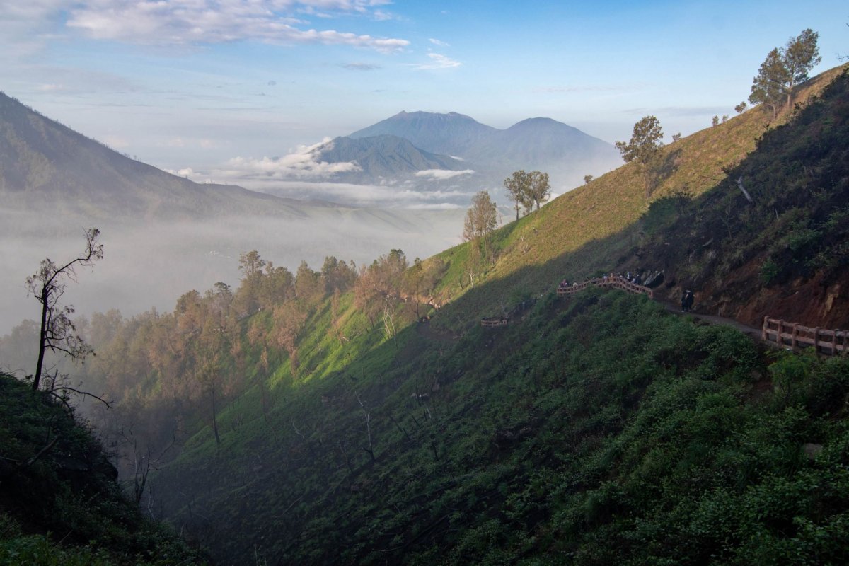 Výhled při cestě zpět