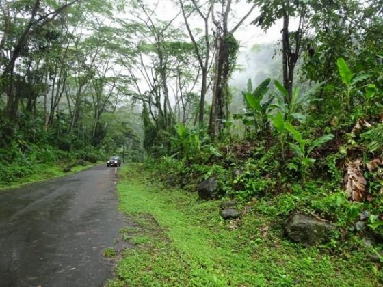 Kostarika je samá zeleň