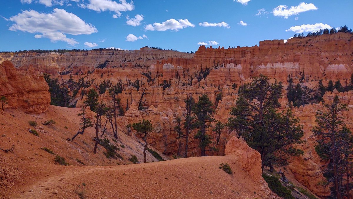Navajo Loop Trail