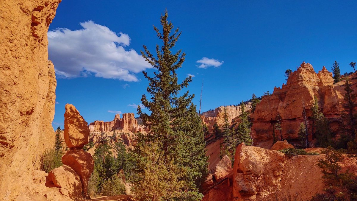 Queen's Garden Trail