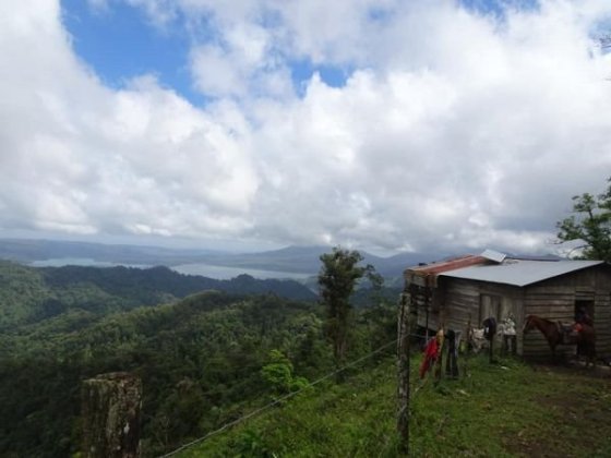 Krajina v Monteverde