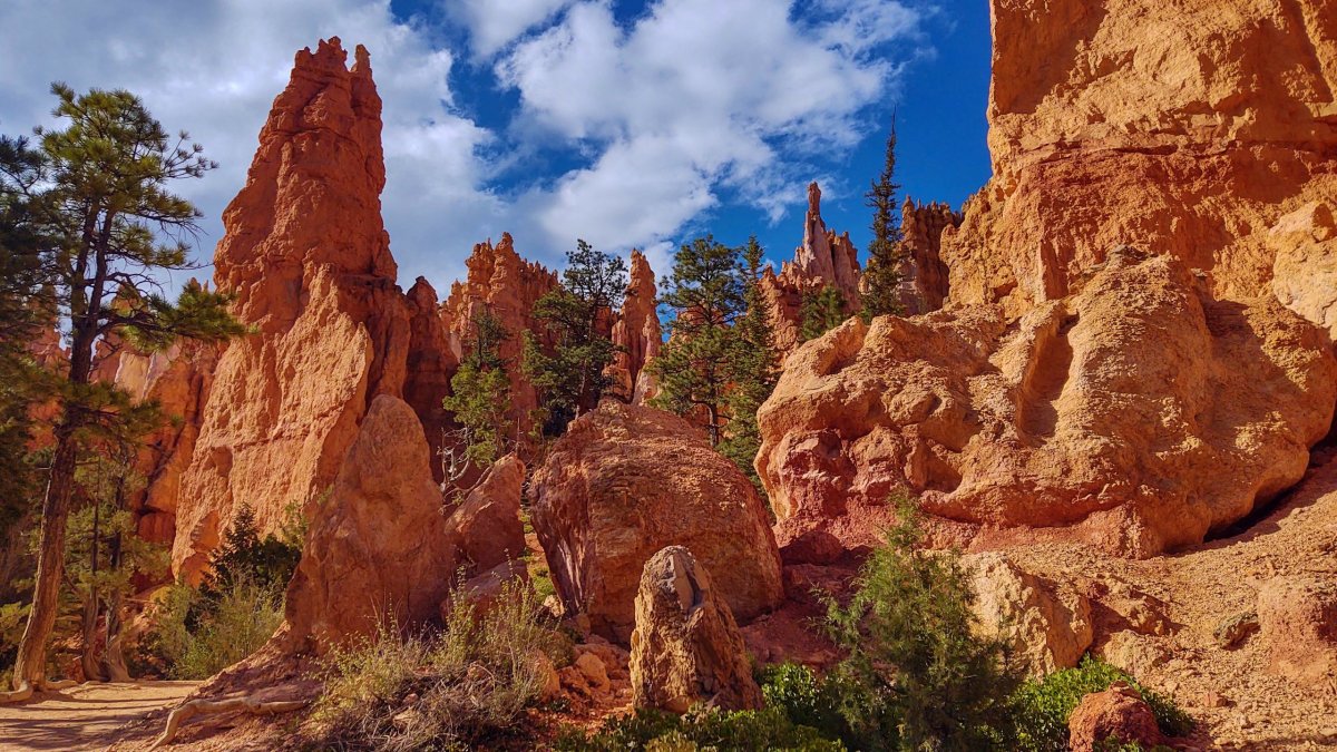 Queen's Garden Trail