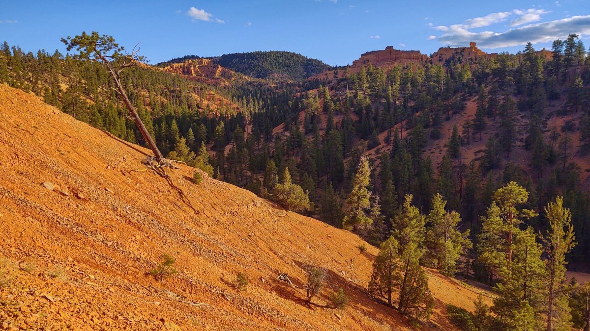 Pohled z Tunnel Trail směrem k Buckhorn Canyon