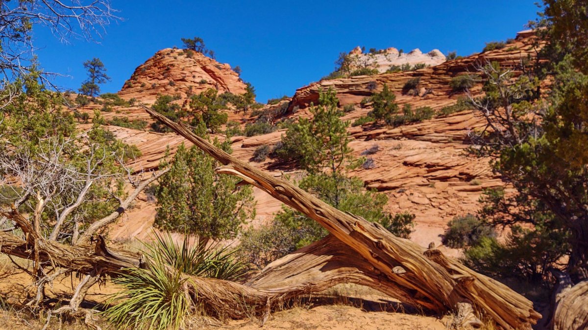 Vyhlídka podél hlavní cesty