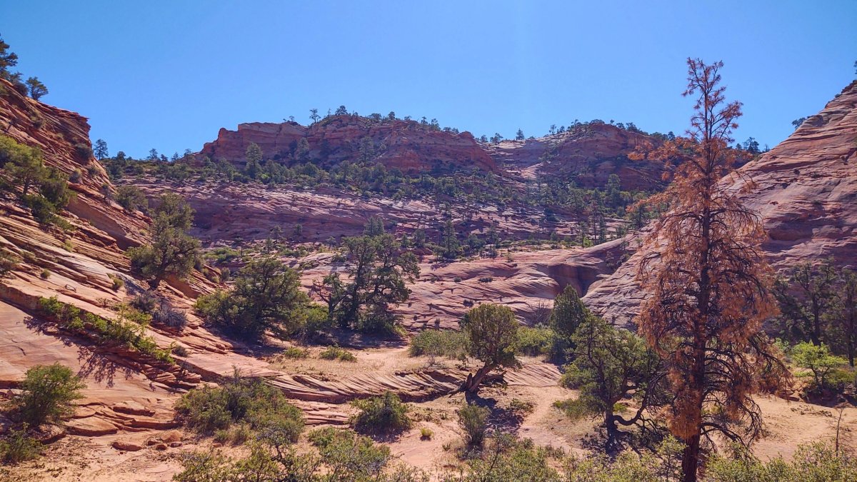 Vyhlídka podél hlavní cesty